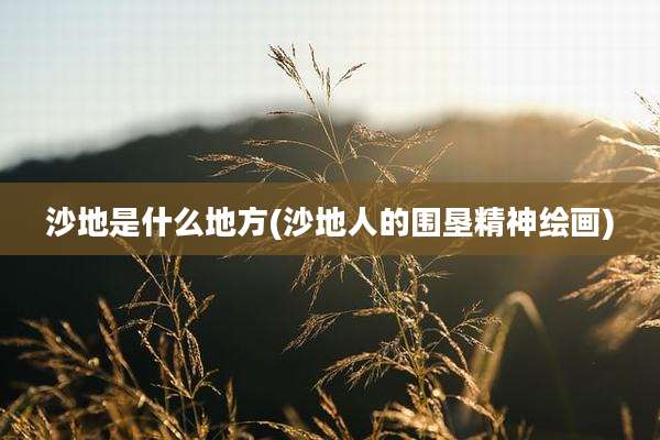 沙地是什么地方(沙地人的围垦精神绘画)