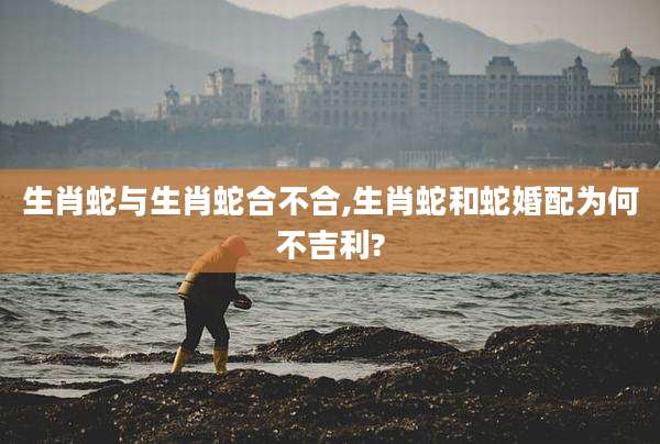 生肖蛇与生肖蛇合不合,生肖蛇和蛇婚配为何不吉利?