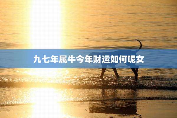 九七年属牛今年财运如何呢女