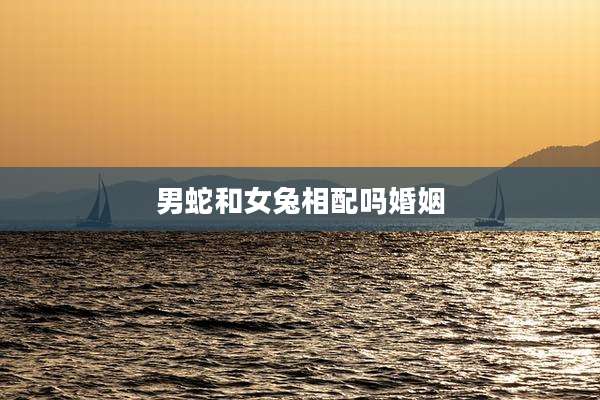 男蛇和女兔相配吗婚姻