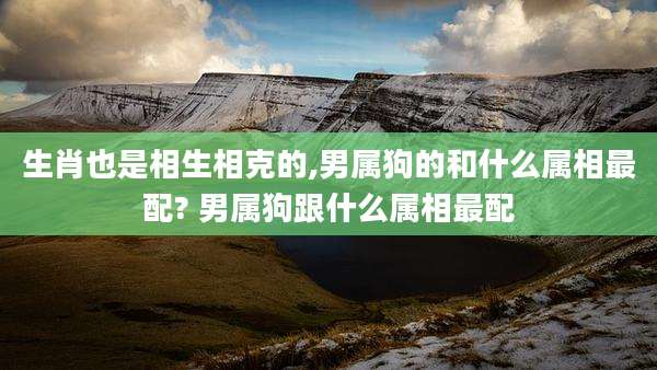 生肖也是相生相克的,男属狗的和什么属相最配? 男属狗跟什么属相最配