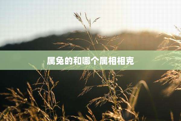 属兔的和哪个属相相克