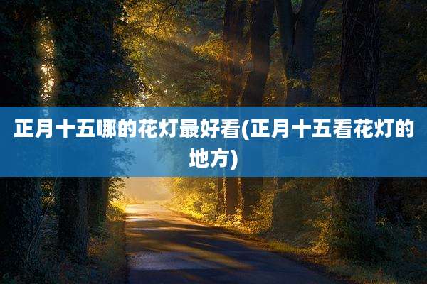 正月十五哪的花灯最好看(正月十五看花灯的地方)