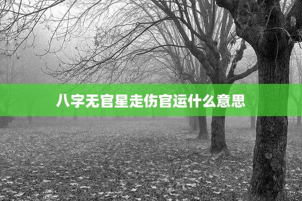 八字无官星走伤官运什么意思