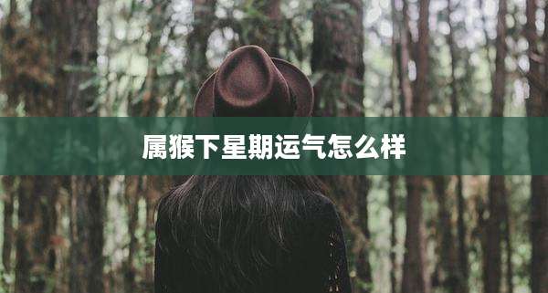 属猴下星期运气怎么样