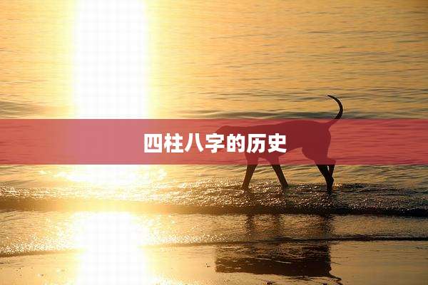 四柱八字的历史