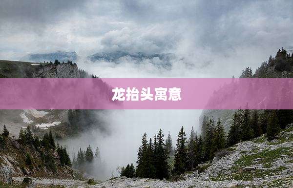 龙抬头寓意
