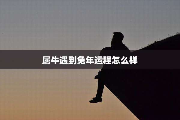 属牛遇到兔年运程怎么样