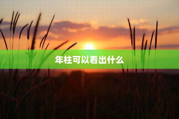 年柱可以看出什么
