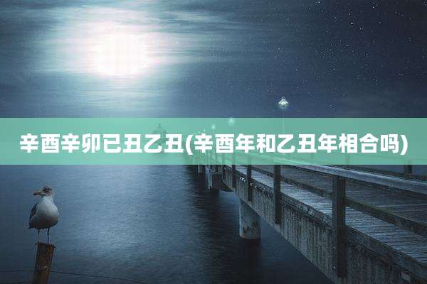 辛酉辛卯已丑乙丑(辛酉年和乙丑年相合吗)