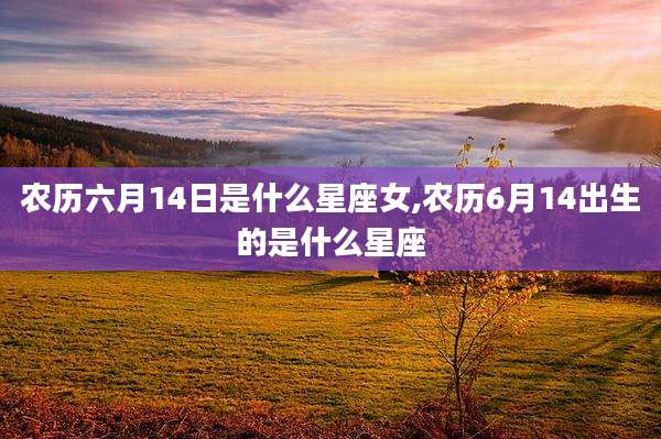 农历六月14日是什么星座女,农历6月14出生的是什么星座