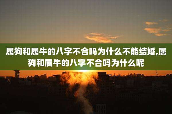 属狗和属牛的八字不合吗为什么不能结婚,属狗和属牛的八字不合吗为什么呢