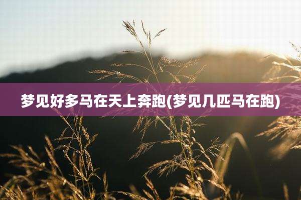 梦见好多马在天上奔跑(梦见几匹马在跑)