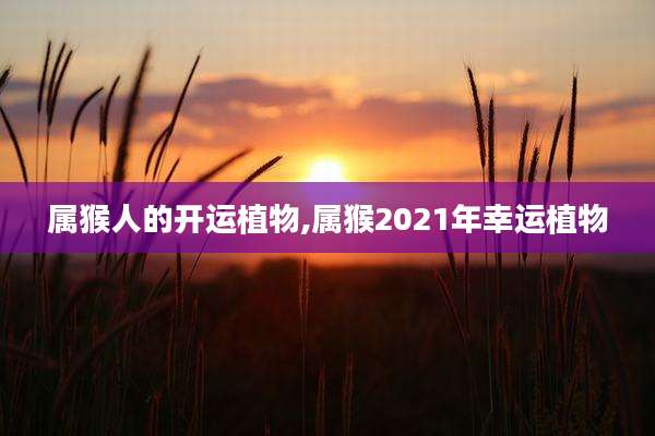 属猴人的开运植物,属猴2021年幸运植物