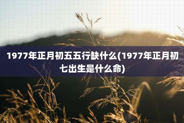 1977年正月初五五行缺什么(1977年正月初七出生是什么命)