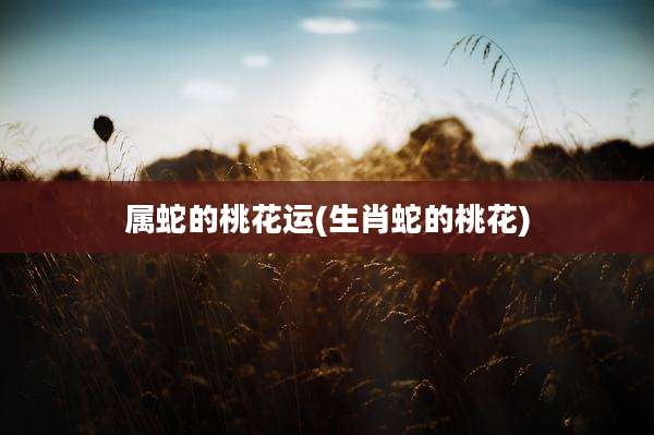 属蛇的桃花运(生肖蛇的桃花)