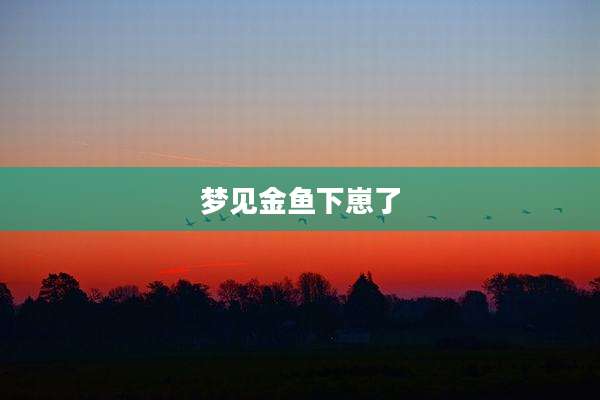 梦见金鱼下崽了