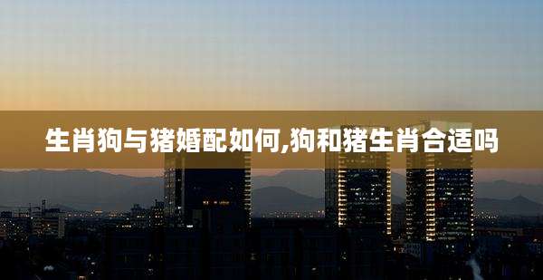 生肖狗与猪婚配如何,狗和猪生肖合适吗