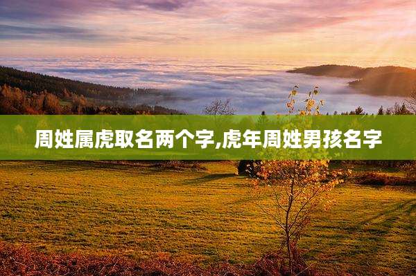 周姓属虎取名两个字,虎年周姓男孩名字