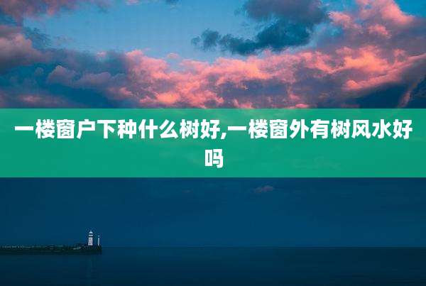 一楼窗户下种什么树好,一楼窗外有树风水好吗