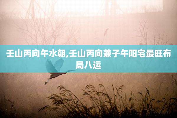 壬山丙向午水朝,壬山丙向兼子午阳宅最旺布局八运