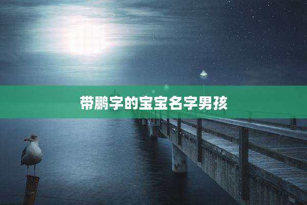带鹏字的宝宝名字男孩