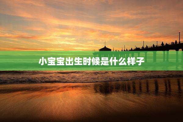 小宝宝出生时候是什么样子