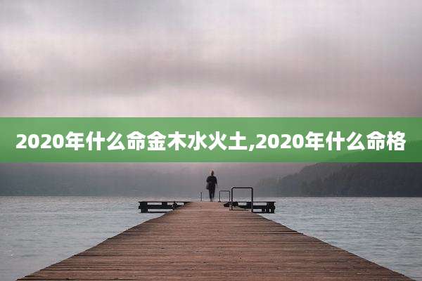 2020年什么命金木水火土,2020年什么命格