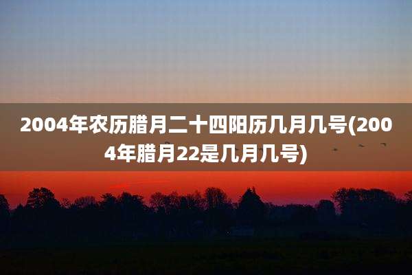 2004年农历腊月二十四阳历几月几号(2004年腊月22是几月几号)
