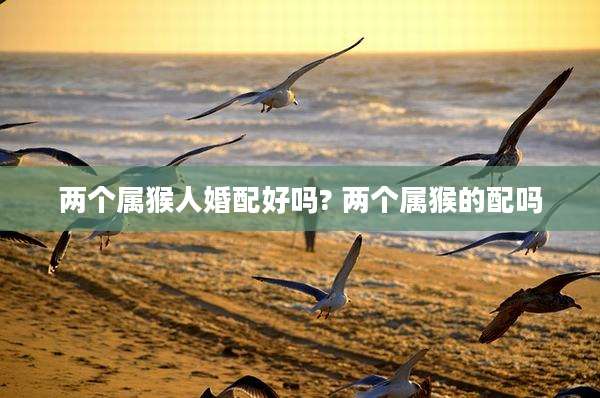 两个属猴人婚配好吗? 两个属猴的配吗