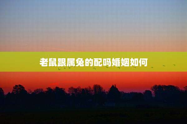 老鼠跟属兔的配吗婚姻如何