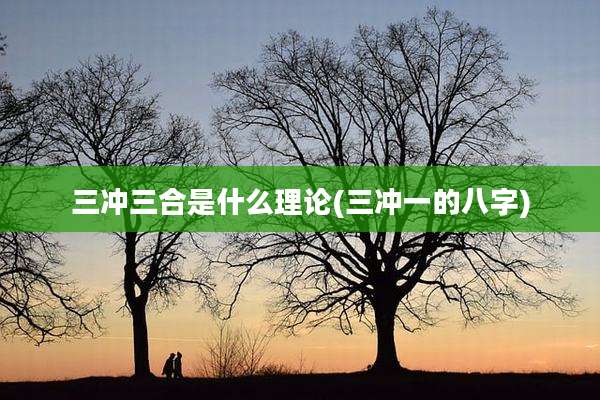 三冲三合是什么理论(三冲一的八字)