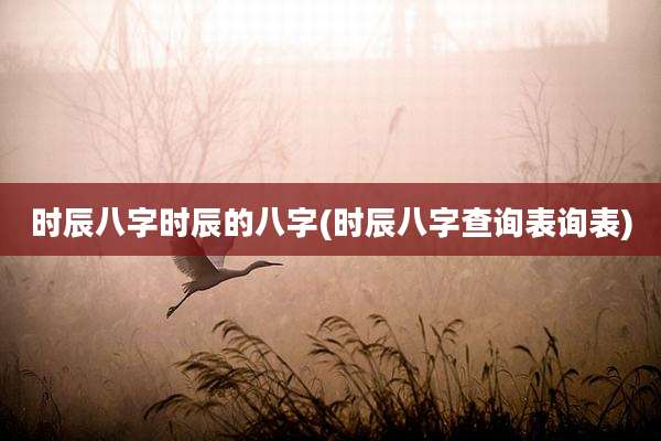 时辰八字时辰的八字(时辰八字查询表询表)