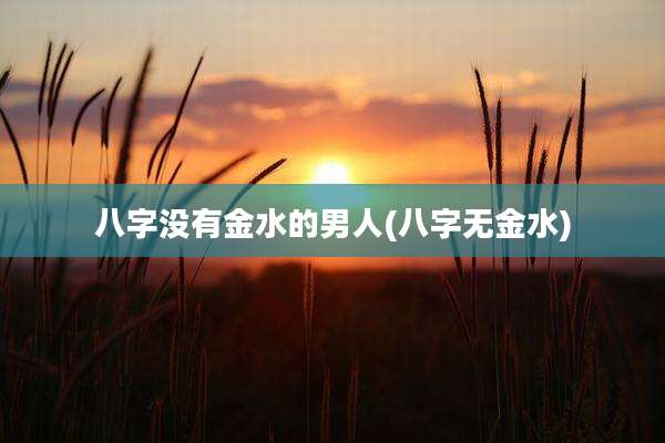 八字没有金水的男人(八字无金水)