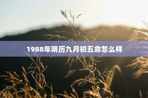 1988年阴历九月初五命怎么样