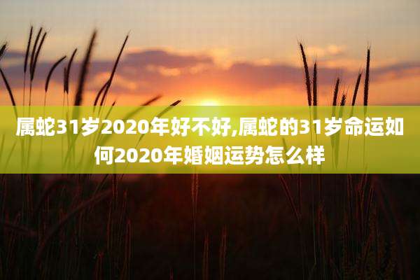 属蛇31岁2020年好不好,属蛇的31岁命运如何2020年婚姻运势怎么样