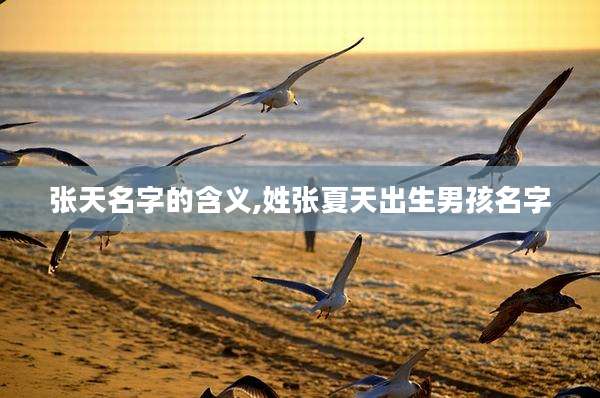 张天名字的含义,姓张夏天出生男孩名字