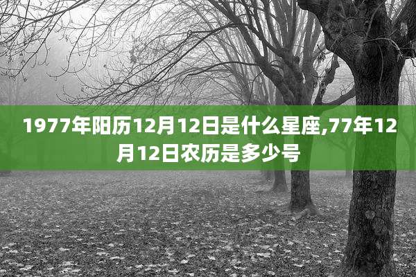 1977年阳历12月12日是什么星座,77年12月12日农历是多少号
