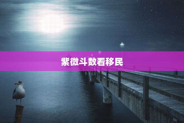 紫微斗数看移民