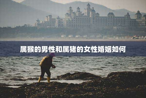 属猴的男性和属猪的女性婚姻如何