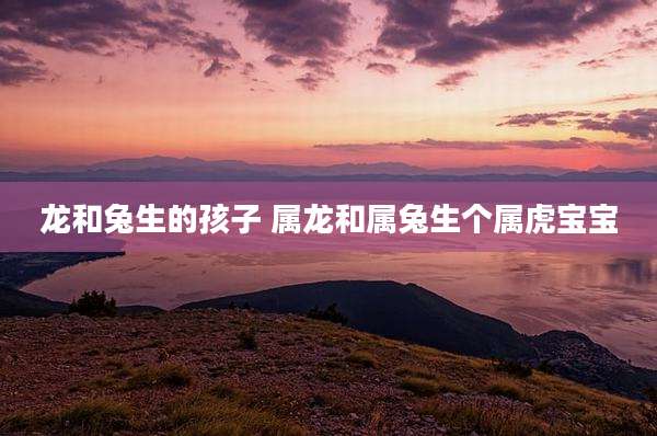 龙和兔生的孩子 属龙和属兔生个属虎宝宝