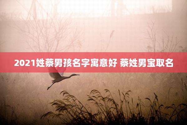 2021姓蔡男孩名字寓意好 蔡姓男宝取名