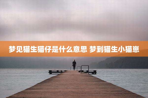 梦见猫生猫仔是什么意思 梦到猫生小猫崽
