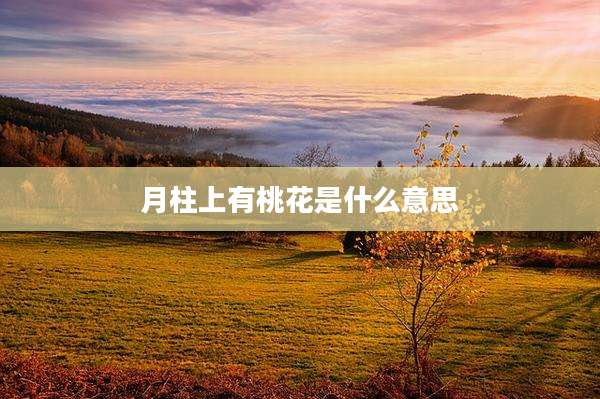 月柱上有桃花是什么意思
