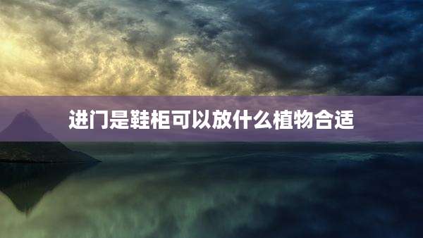 进门是鞋柜可以放什么植物合适