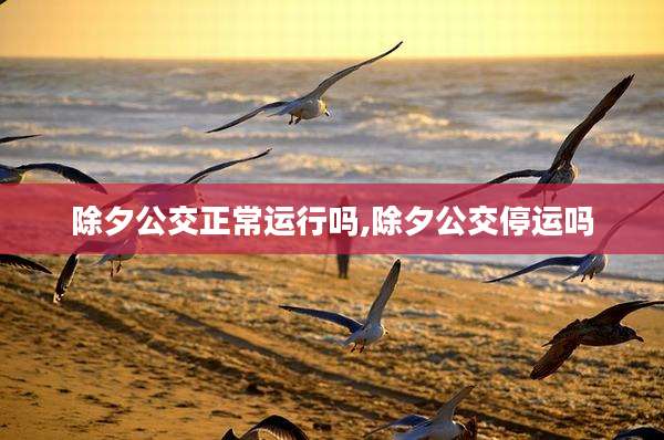除夕公交正常运行吗,除夕公交停运吗