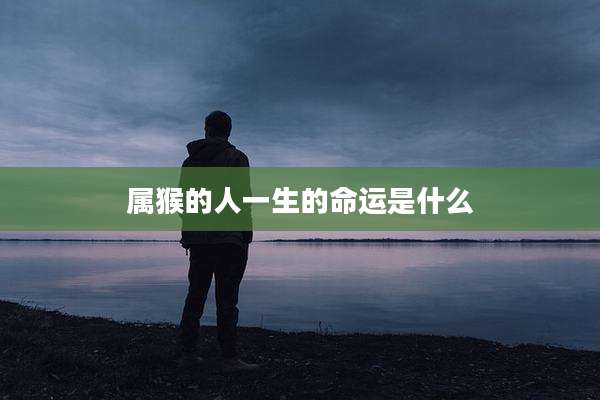 属猴的人一生的命运是什么