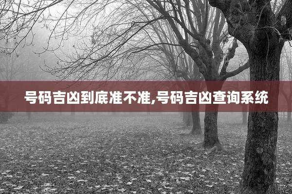 号码吉凶到底准不准,号码吉凶查询系统