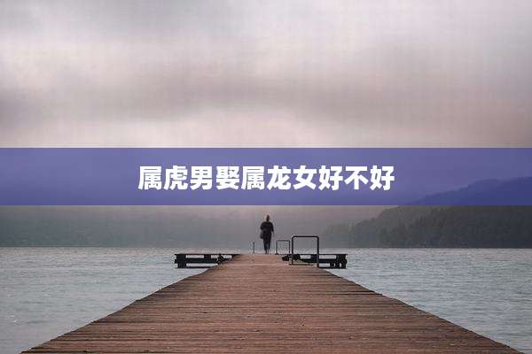 属虎男娶属龙女好不好