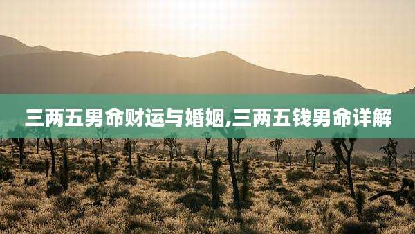三两五男命财运与婚姻,三两五钱男命详解
